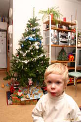 Daniel and the tree