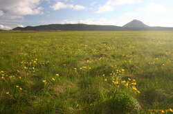 Wide open field of lovely grass, featuring Keilir
