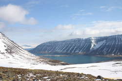 Ísafjörður from part way up the ski slope