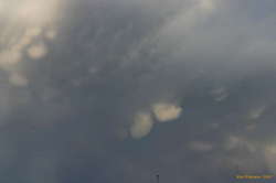 Mammatus clouds