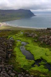 an image thumbnail
