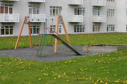 Dandelions in the playground