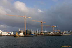 A family of cranes building the new concert hall