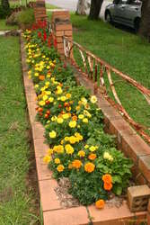 Front flower bed
