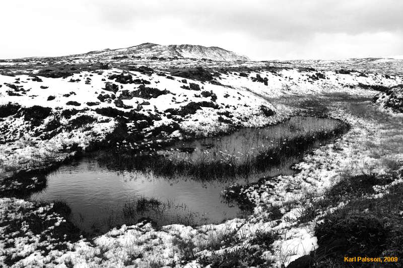 Pond