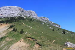 Looking up at the Dent de Crolles