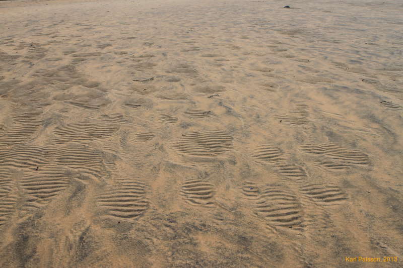 Neat water/wind patterns on the beach