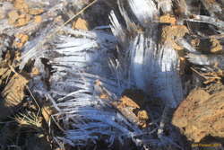 Awesome grass ice