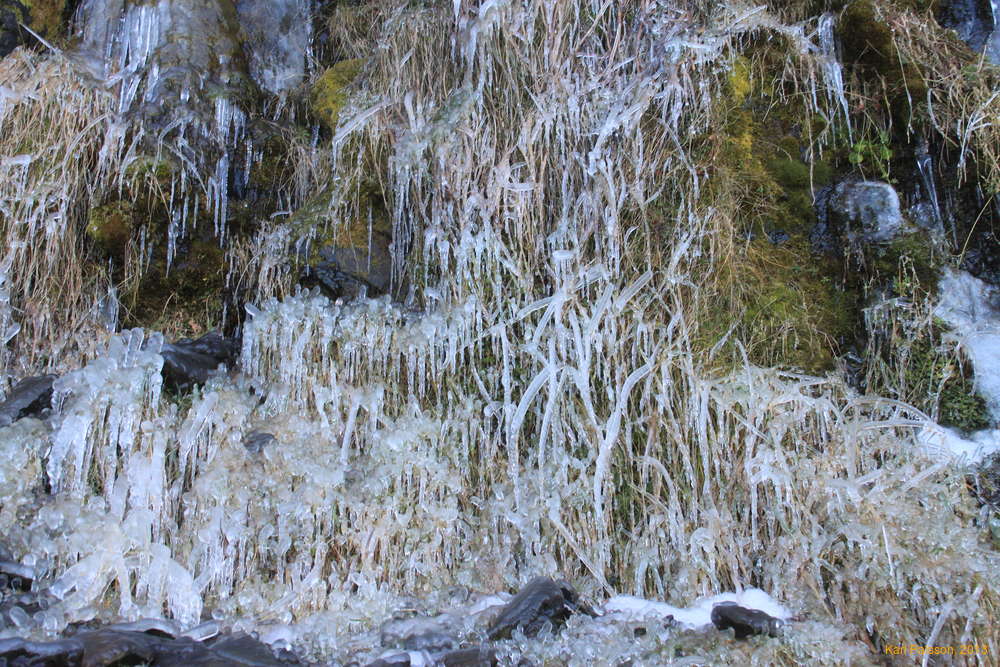 Icy grass