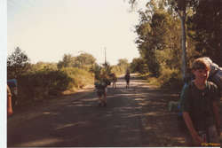 Walking out along the glasshouse road towards NgunNgun