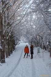 Alda and Kata in the winter wonderland