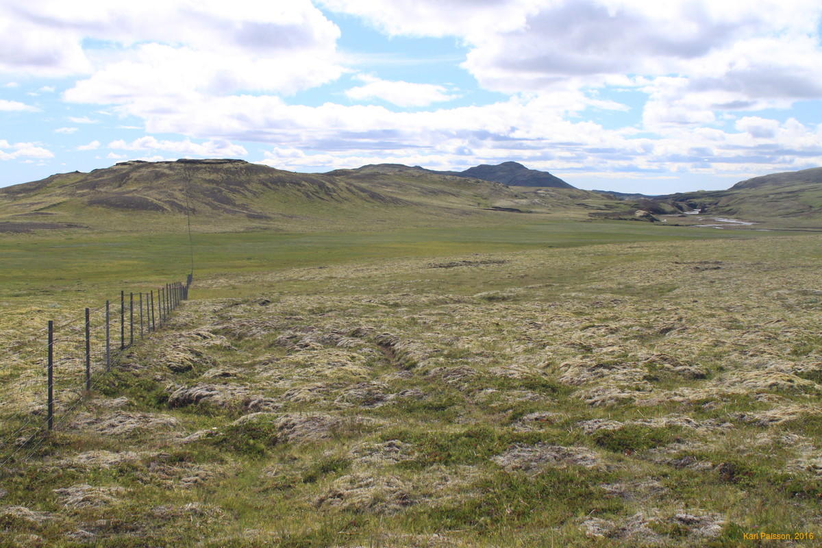 Fence across Sniðhólamýri