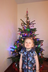 Stella and the christmas tree