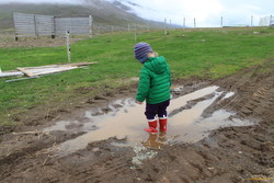 Enjoying a puddle