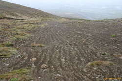 water runoff patterns