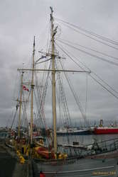 Zawisza Czarny - front view