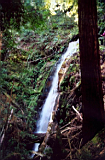 bigbasin2-07.JPG