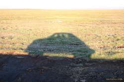 Super micra shadow