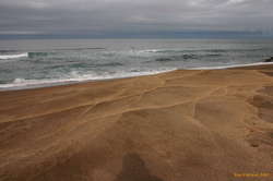 More yellow sandy beaches
