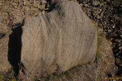 Cross bedded marine sediment?
