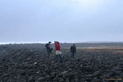 Windswept shore
