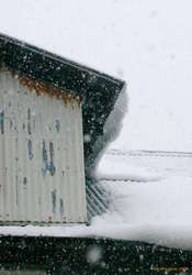 Curvy melt icicles
