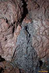 Grey ooze
