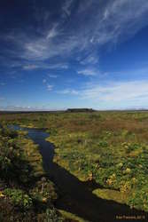 Herðubreiðalindir