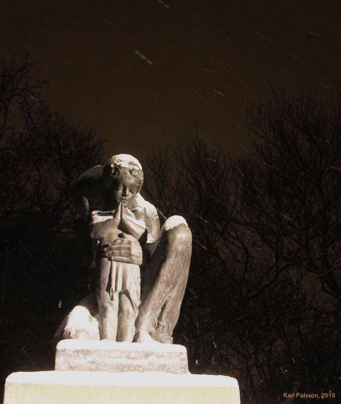 Alone in the snow