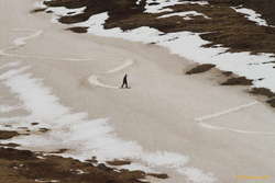 Fresh tracks!