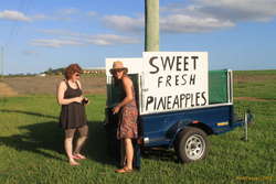 Pineapple shopping