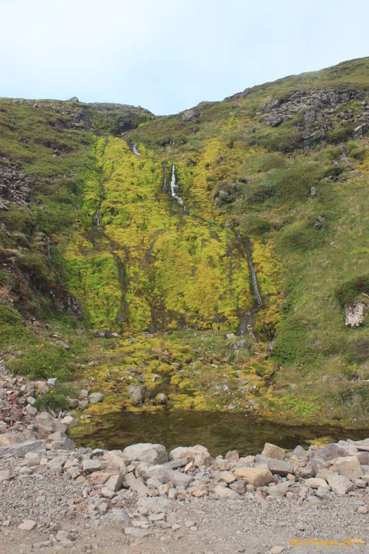 Mossfall