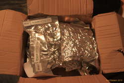 Hops in the mail