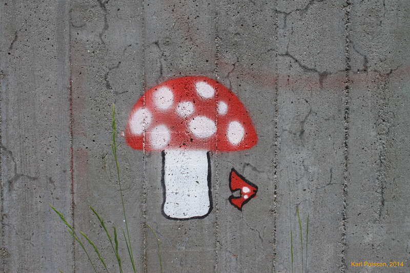 Mushrooms!